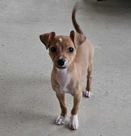 Photo of Tomb Raider