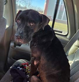 Photo of Black female