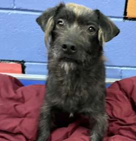 Photo of DONALD/URGENT