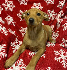 Photo of Everly 5961