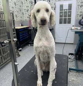 Photo of Bentley Bendy Straw