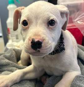 Photo of Mike Wheeler