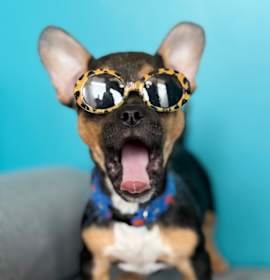 Rudolph B1130 photo 1