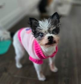 Mildred AKA Millie photo 1