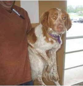 Photo of Brittany Sassy