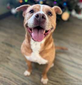 Photo of Chloe FKA Cleo