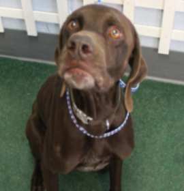 Photo of Creek URGENT PLEASE HELP‼️