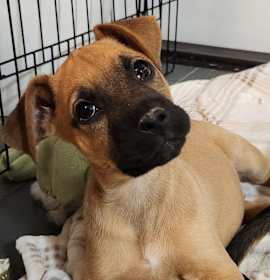 Photo of Breakfast Jack