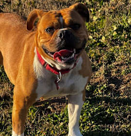 Photo of Gerty Elliss