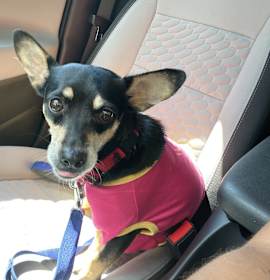 Photo of Sheila & Amber