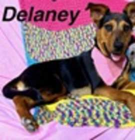 Photo of Delaney (Cocoa)
