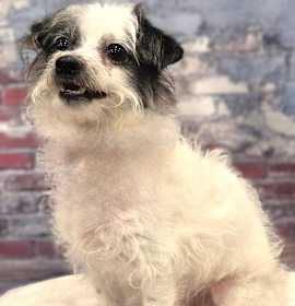 Boo Boo-Coming Soon photo 2