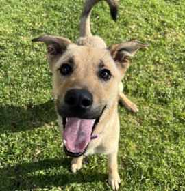 Photo of Stephen Bing Bong