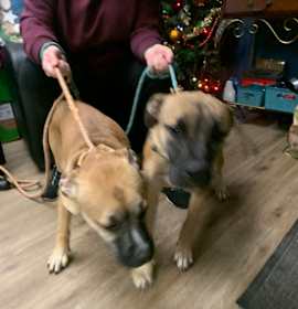 Photo of Mike and Ike