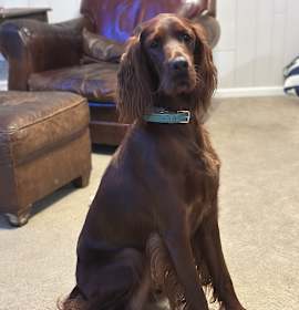 Lady Ma’am photo 1