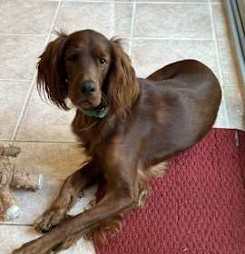 Lady Ma’am photo 4