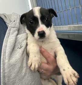 Photo of Kate McCallister