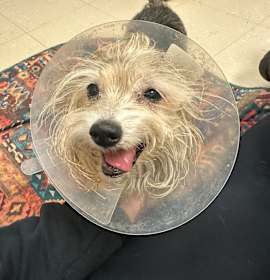 Photo of Eggie Noggin’