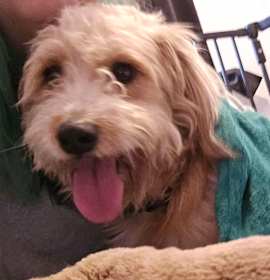 Photo of Tucker C-34470