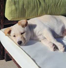 Photo of Anastasia (Mattee)