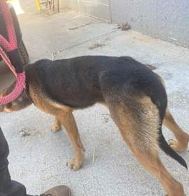 Photo of 032425 - Ellie