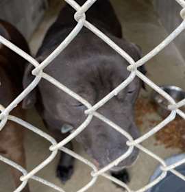 Photo of 032429 - Chevy