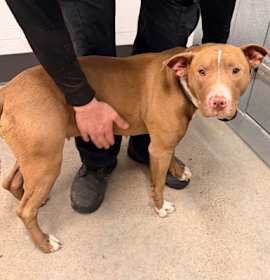 Eleven II 38 photo 3