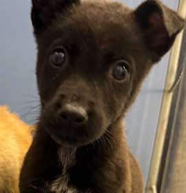 Photo of Sondra McCallister