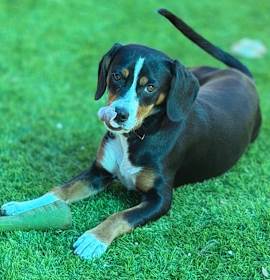 Photo of Posey (Po-Po)