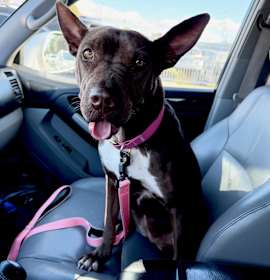 Photo of Janey-SO SWEET-Video!