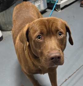 Photo of 26-01-0003 Carl