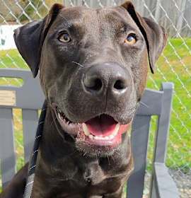 Photo of Waylon Dixon