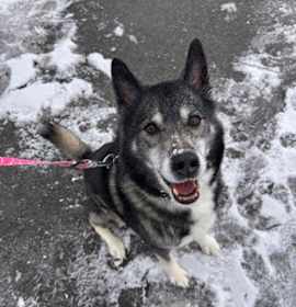 Photo of Kato - Stratford