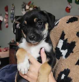 Photo of Andi - Affectionate Girl