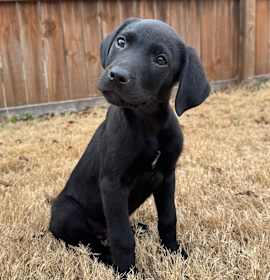 Photo of Fernando Edgecombe