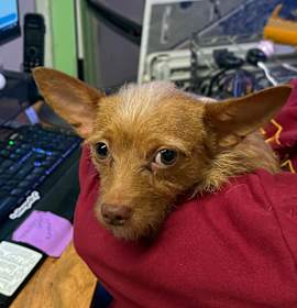 Photo of Blake Shelton