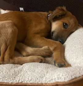 Photo of Butters 4457