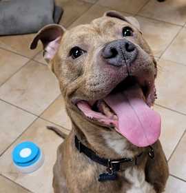 Photo of Teddy Graham (mcas)