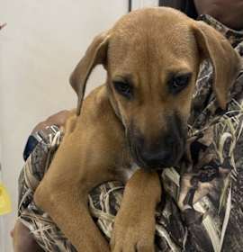 Photo of Ms. Webster