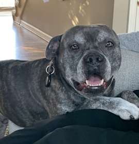 Photo of Santa Claus