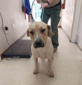 Photo of In and Out Ln 1(Harley)