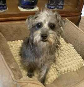 Photo of Maxine Rae IM