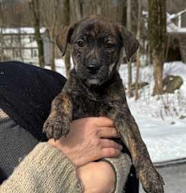 Photo of NY June Avail Jan 10