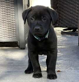 Photo of Akenson / Milo