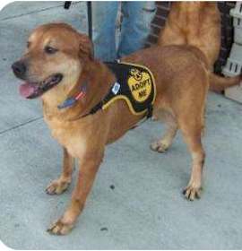 Photo of DAKOTA - AUG 11