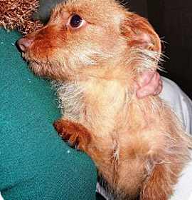 Photo of TINKERBELLE