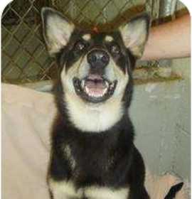 Photo of Dakota ADOPTN PNDG!