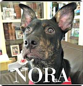 Photo of Nora