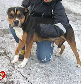 Photo of BOONE // 1 (RTO)