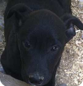 Photo of Partner and brother